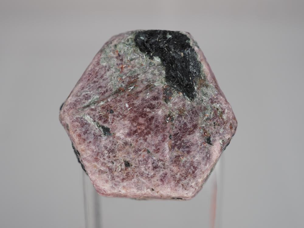 Magnesiotaramite on Ruby